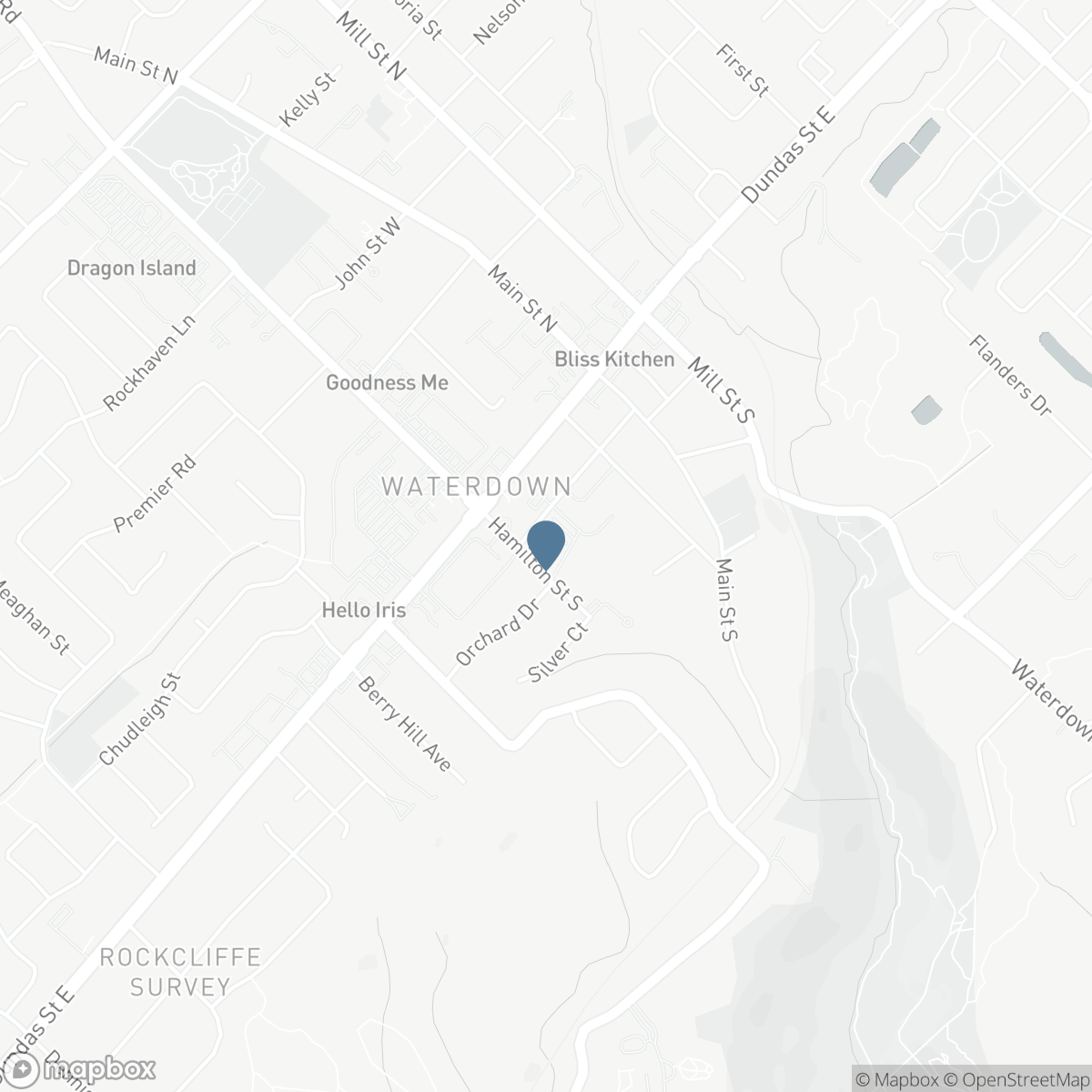 30 S HAMILTON Street S Unit# 313, Waterdown, Ontario L8B 1V8